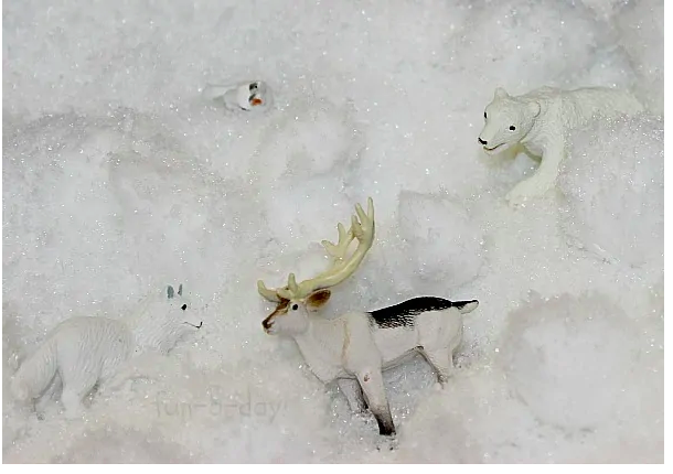 Arctic Small World