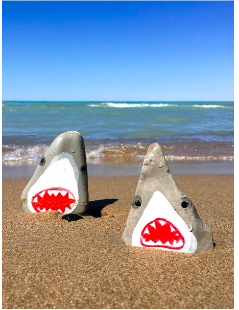 cc--Shark-rock-painting--sustainmycrafthabit.com.png