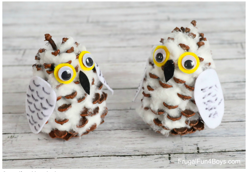 cc--w-snowy-owl--frugalfunforboys.com.png cc--w-snowy-owl--frugalfunforboys.com.png