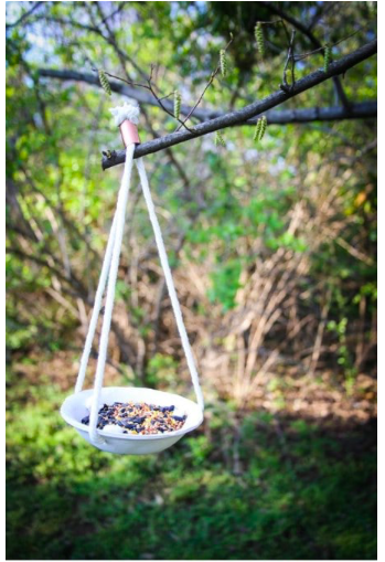 diy--clay-birdfeeder--henryhappened.com.png