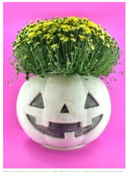 diy--f--Pumpkin-planter--dreamalittlebigger.com.png