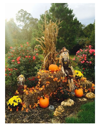 diy--f--lawn-display--sourceunknown.png