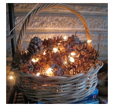 diy--f--lit-up-pinecone--sourceunknown.png