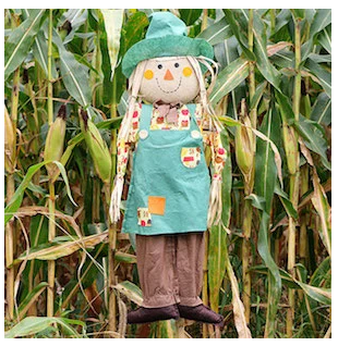 diy--f--scarecrow--thebudgetdecorator.com.png