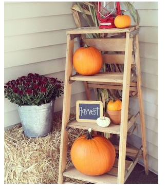 diy--f--wood-ladder--sourceunknown.png