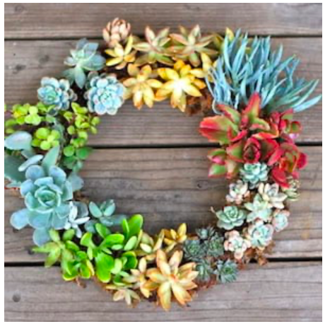 diy--s--living-succulents--prettyprudent.com.png