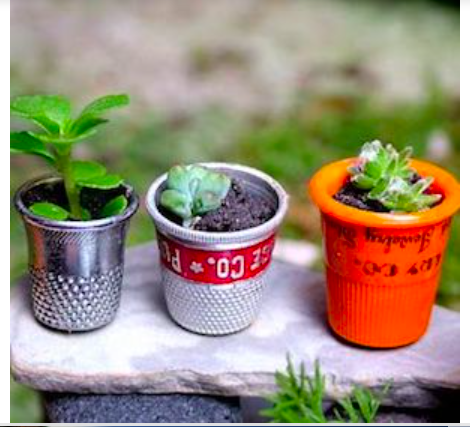 diy--so--tiny-succulent-gardents--thinkcrafts.com.png