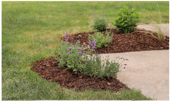 diy--sp--Flower-Bed--lovegrowswild.com.png