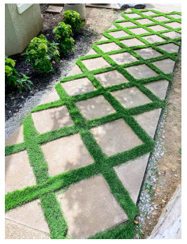 diy--sp--Paver-Walkway--jenwoodhouseecom.png
