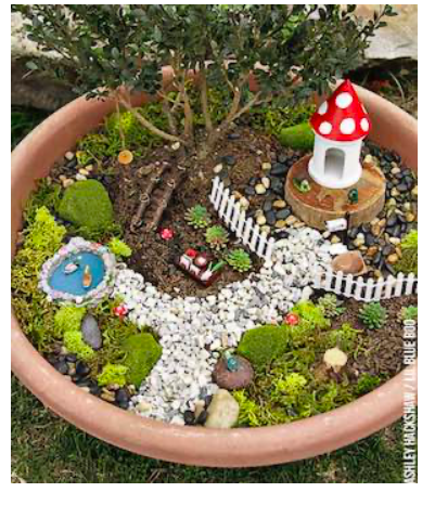 diy--sp--bonsai-tree--lilblueboo.com.png