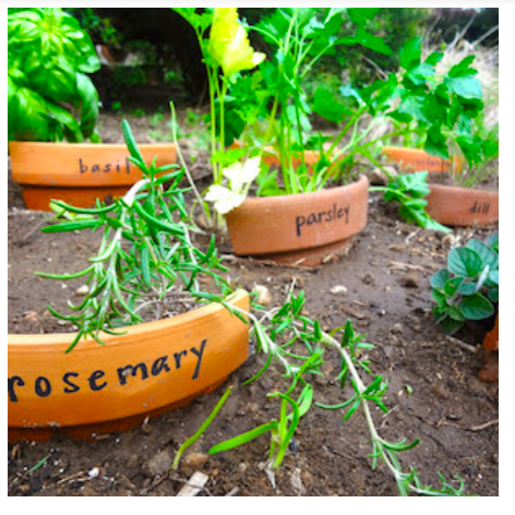 diy--sp--broken-terra-cotta-pot-markers--hardlyhousewives.com.png