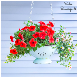 diy--sp--colander--sadieseasongoods.com.png diy--sp--colander--sadieseasongoods.com.png