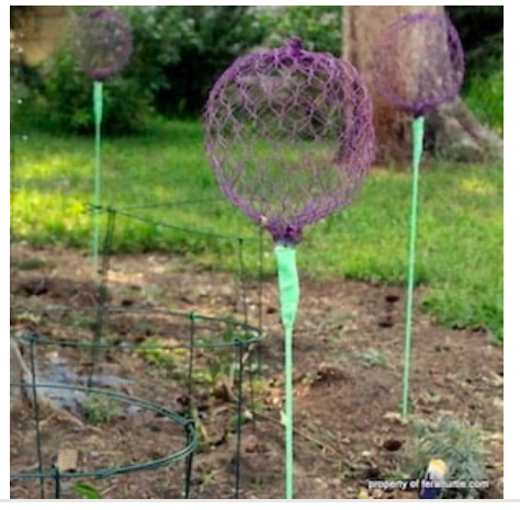 diy--sp--giant-allium-chicken-wire-flowers--feralturtle.com.png
