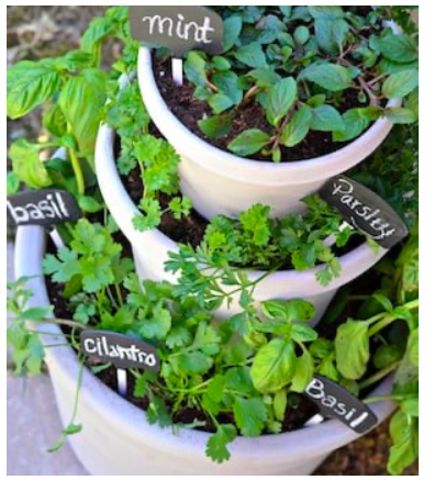 diy--sp--herb-tiered-plant-pots--sourceunknown.png