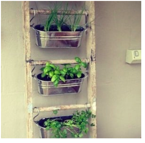 diy--sp--ladder-container-gardens--sourceunknown.png