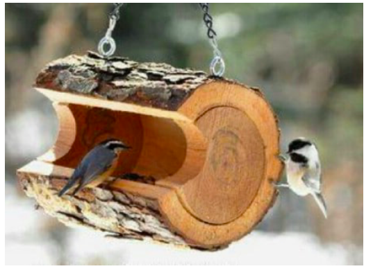 diy--sp--log-birdfeeder--sourceunknown.png