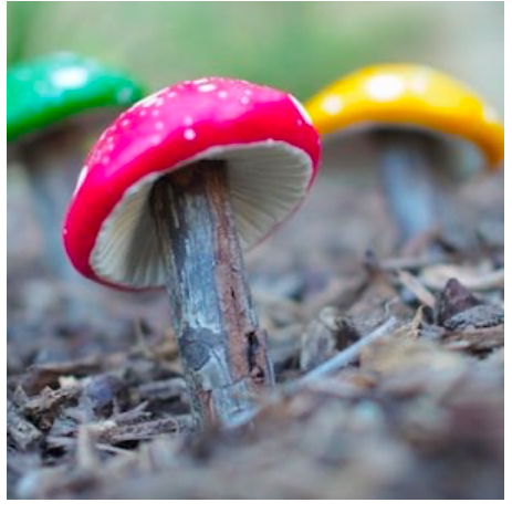 diy--sp--magical-clay-toadstools--fairygardens.com.png
