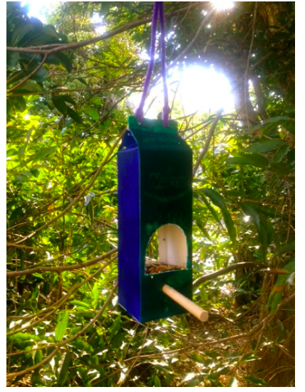diy--sp--milk-carton-birdfeeder-amandamedin.com-.png