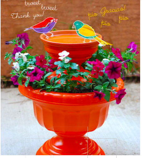 diy--sp--plastic-pot-bird-feeders--mamitalks.com.png