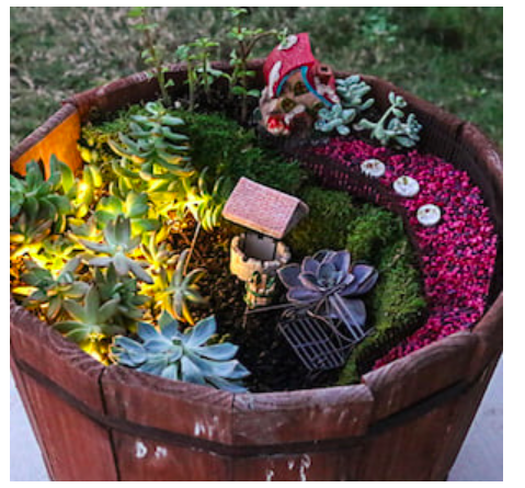 diy--sp--succulent-gardens--craftsunleashed.com.png