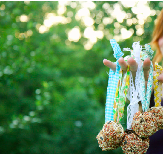 diy--sp--summery-birdfeeders--moorea-seal.com.png