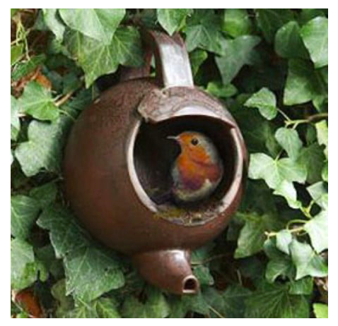 diy--sp--teapot-birdfeeder--edenproject.com.png