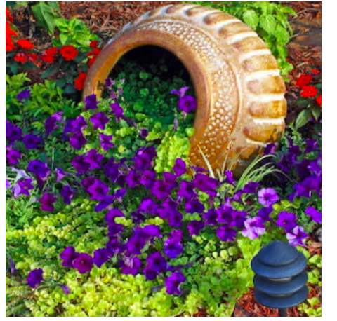 diy--sp--tipped-over-planter--sourceunknown.png diy--sp--tipped-over-planter--sourceunknown.png