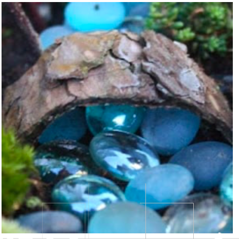diy--sp--tree-bark-bridge-over-water--juise.com.png