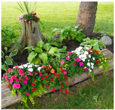 diy--sp--tree-stump--sourceunknown.png diy--sp--tree-stump--sourceunknown.png