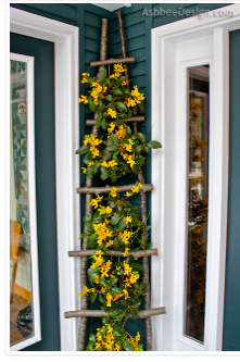 diy--sp--twig-ladder--ashbeedesign.com.png diy--sp--twig-ladder--ashbeedesign.com.png