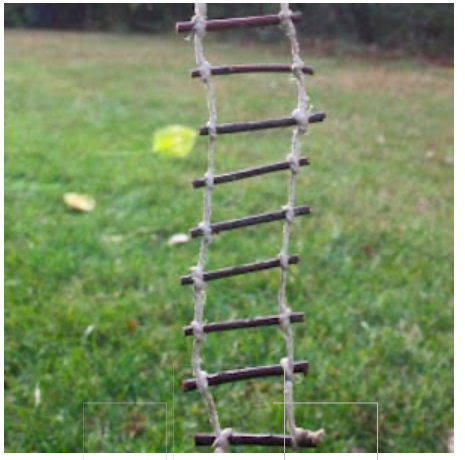 diy--sp--twig-twine-ladder--juise.com.png