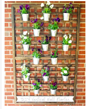 diy--sp--wall-planter--cape27blog.com.png diy--sp--wall-planter--cape27blog.com.png