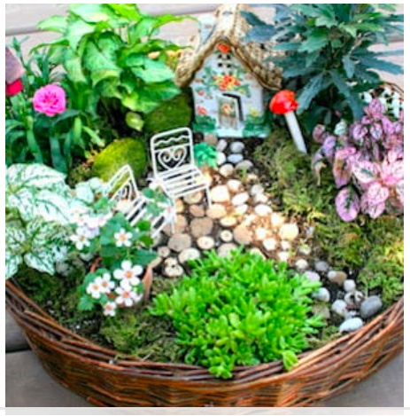 diy--sp--wicker-basket-gardens--echoesoflaughter.com.png