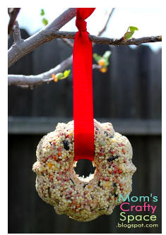 diy--spring--bird-seed-ornament--happinessishomemade,com.png