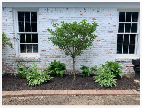 diy--spring--brick-border-edging-buikdingbluebird.com.png