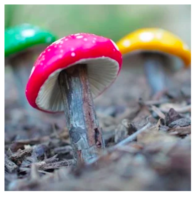 diy--spring--clay-toadstools--fairygardens.com.png