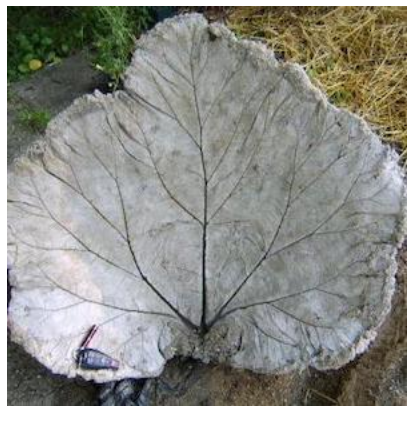 diy--spring--concrete-birdbath--gardenstew.com.png