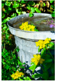 diy--spring--garbag-can-birdbath--funkyjunkinteriors.net.png