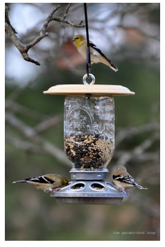diy--spring--mason-jar-birdfeeder--thegardenroofcoop.com.png