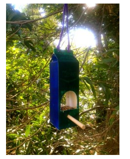 diy--spring--milk-carton-birdfeeder--amandamedlin.com.png