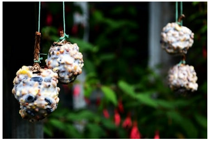diy--spring--pinecone-birdfeeders--dragonflybluecraft.com.png