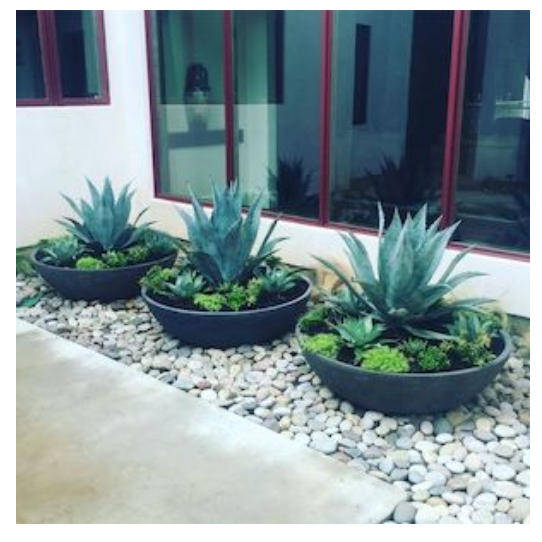 diy--spring--potted-plant-landscaping--sourceunknown.png