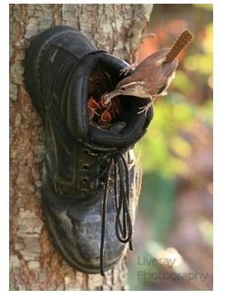 diy--spring--shoe-birdfeeder--sourceunknown.png