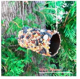 diy--spring--toilet-roll-bird-feeder--kenarry.com.png