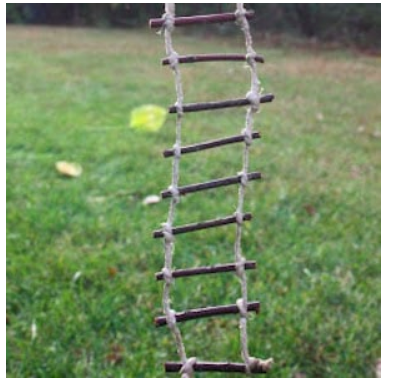 diy--spring--twig-and-twine-ladder--uise.com.png