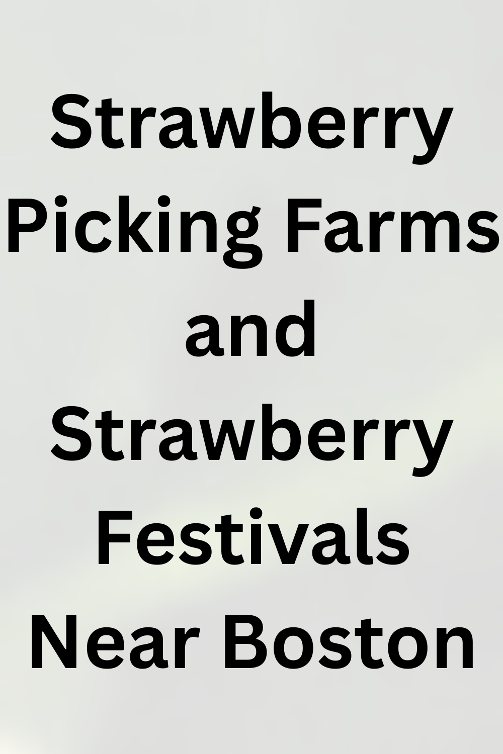 Strawberry Picking Farms and Strawberry Festivals Near Boston