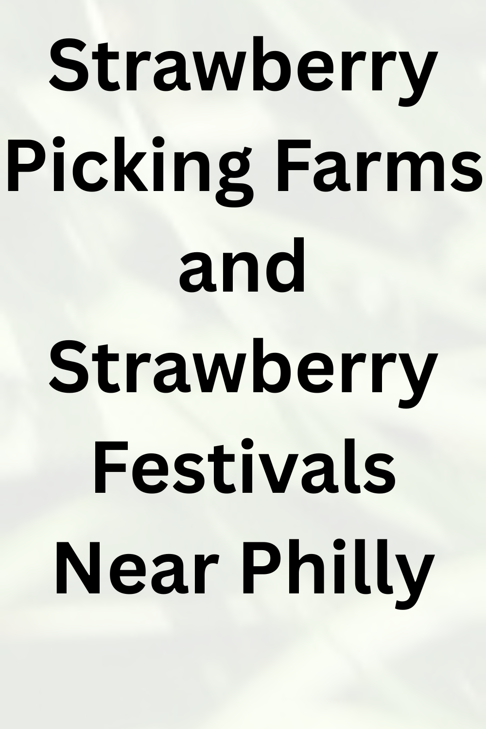 Strawberry Picking Farms and Strawberry Festivals Near Philly