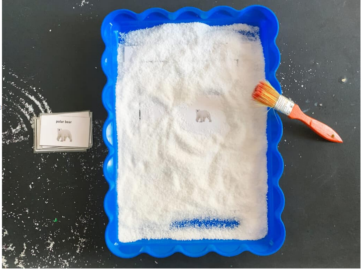 Arctic Animal Snow Dig