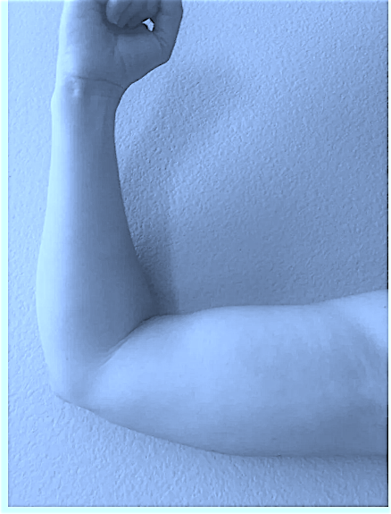 Arms-1.png