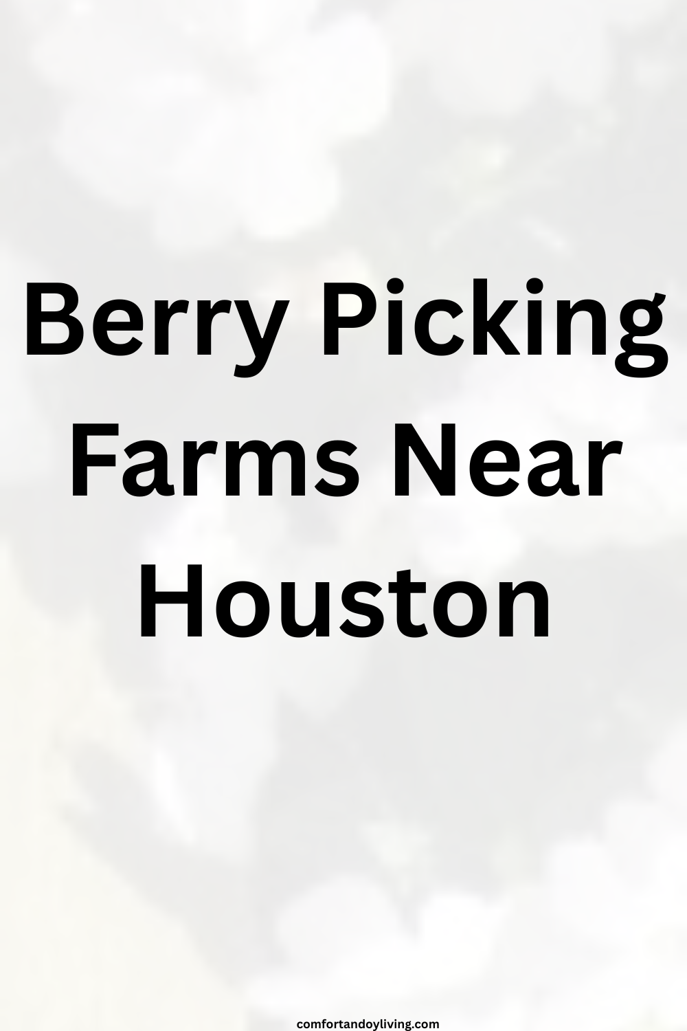 Berry Picking Farms Near Houston